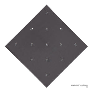 KUNTUMSALJU- 14 (POPPY SEED)