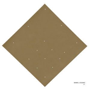 LEGEND 2.0 - 11 (WOOD THRUSH)
