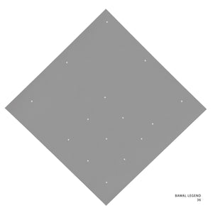 LEGEND 2.0 - 36 (SILVER LINING)