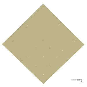 LEGEND 2.0 - 38 (DUSTY YELLOW)