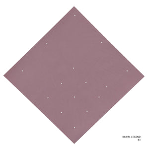 LEGEND 2.0 - 83 (DUSTY ROSE)