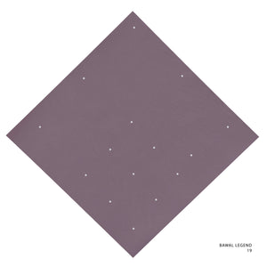 LEGEND 2.0 - 19 (WISTFUL MAUVE)