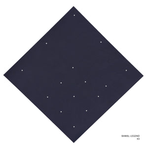 LEGEND 2.0 - 43 (OUTER SPACE)