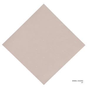 LEGEND 2.0 - 47 (EGGNOG)