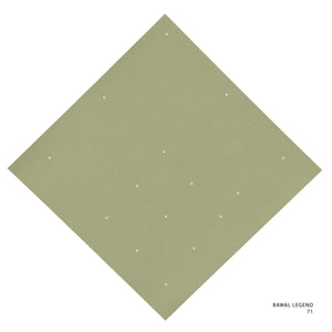 LEGEND 2.0 - 71 (CHINO GREEN)