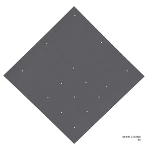 LEGEND 2.0 - 80 (ALLOY)