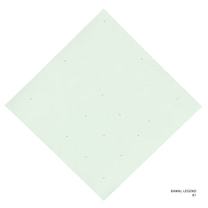 LEGEND 2.0 - 81 (GREEN TINT)