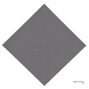 LEGEND 2.0 - 73 (QUIET GRAY)
