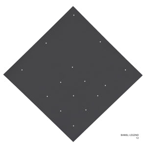 LEGEND 2.0 - 12 (QUIET SHADE)