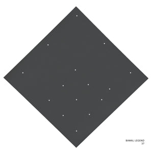 LEGEND 2.0 - 37 (TURBULENCE)
