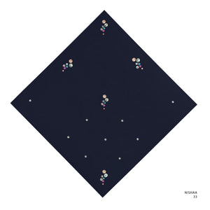 NISHAA- 5 (SKY CAPTAIN)