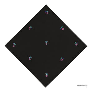 RAIZIN- 19 (BLACK BEAUTY)