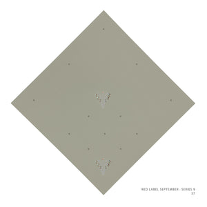 RLDSEP- 37 (GRAYISH BROWN)