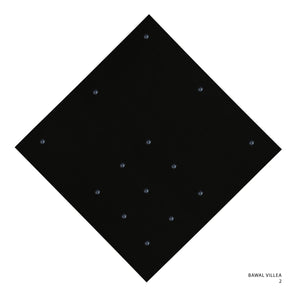 VILLEA- 2 (BLACK BEAUTY)
