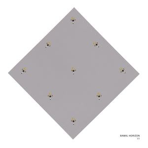 HORIZON- 11 (ASH)