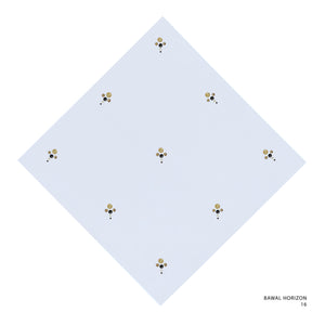 HORIZON- 16 (SKYWRITING)