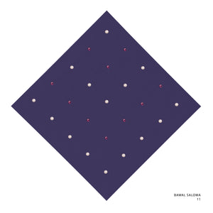 SALOMA -11 (CARDBURRY PURPLE)