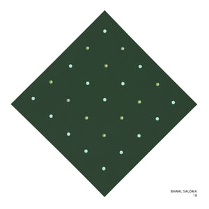 SALOMA -18 (MOUNTAIN VIEW)