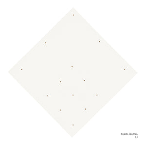 WARNA 1.0 - 4 (PERFECTLY PALE)