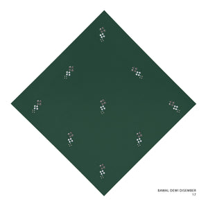 DEWIDEC - 17 (RAIN FOREST)