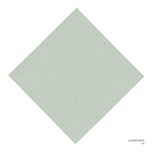 LEGEND 2.0 - 19 (MOSS GRAY)
