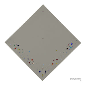 PIETRA V- 14 (AGATE GRAY)