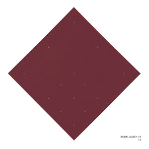 QASEH 10- 13 (SCOOTER)