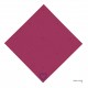 AMOR- 13 (FUSCHIA ROSE)