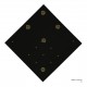 CROCUS NB - 20 (BLACK BEAUTY - GOLD)