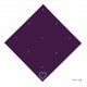 AMOR- 26 (PLUM)