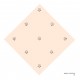 DIANTHUS-3 (CREAM PEACH)