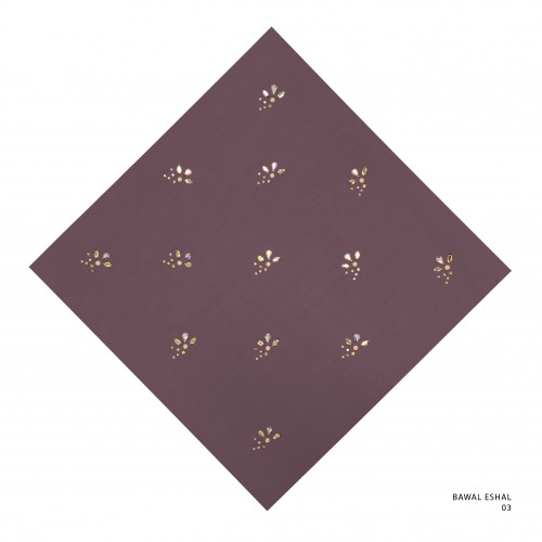 Bawal eshal 3_20220827122958.jpg