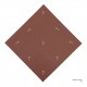 AINUN -9 (BRICK DUST)