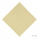 AMEISEN - 21 (MISTED YELLOW)