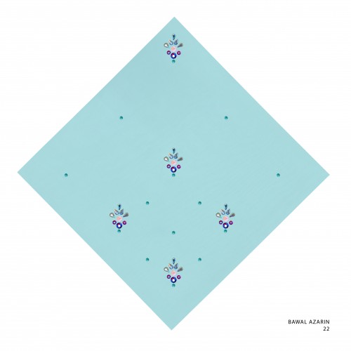 Bawal_azarin_code_22_20250528122330.jpg