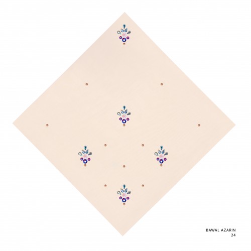 Bawal_azarin_code_24_20250528122330.jpg