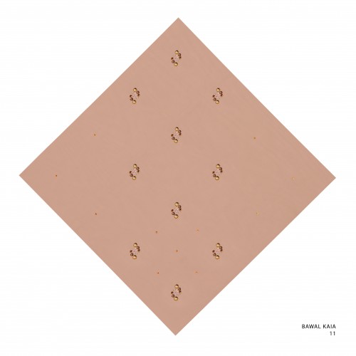 Bawal_kaia_code_11_20250801140438.jpg