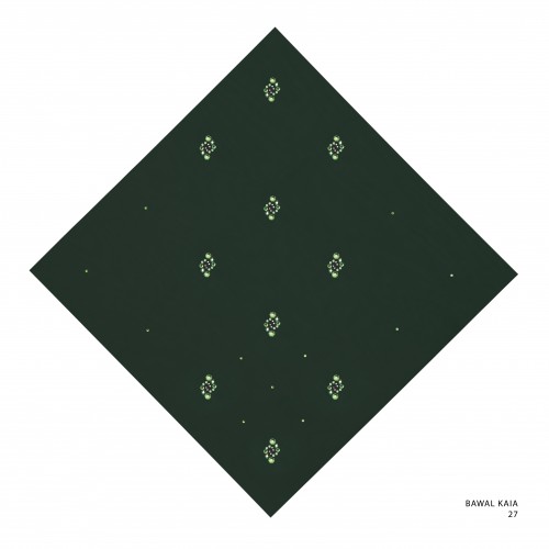 Bawal_kaia_code_27_20250801140833.jpg