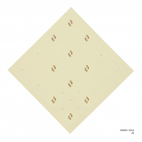 Bawal_kaia_code_28_20250801140905.jpg