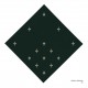 NIRNAMA- 9 (PINE GROVE)